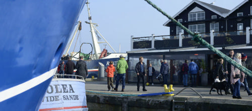 Skyfish-foto Ringkøbing Fjord Turisme